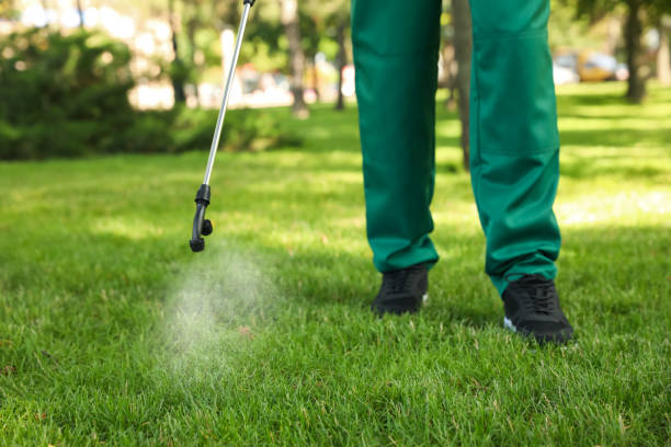 Best Rat Extermination Near Me  in Spring Park, MN