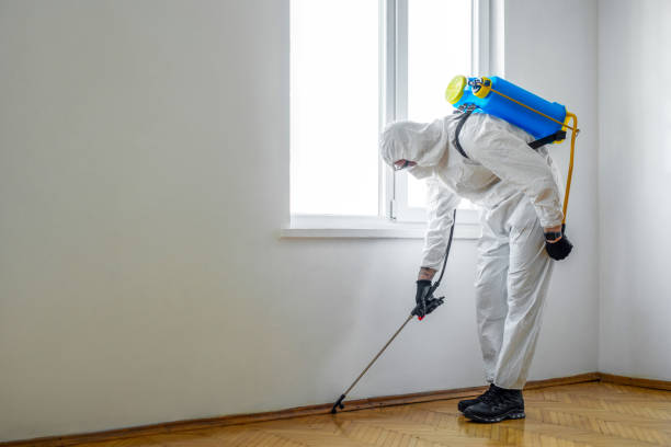 Best Best Pest Control Companies  in Spring Park, MN