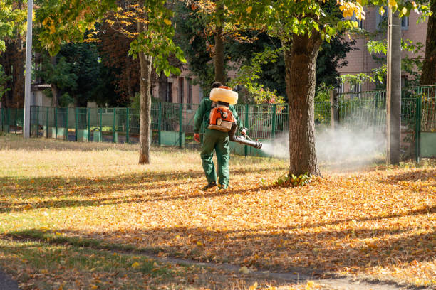 Best Affordable Pest Control Services  in Spring Park, MN