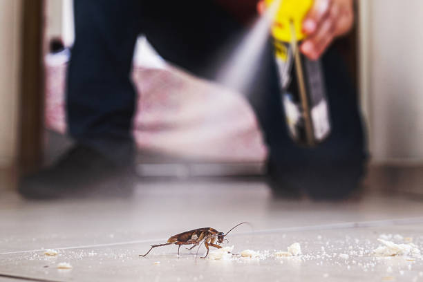 Best Pest Prevention Services  in Spring Park, MN
